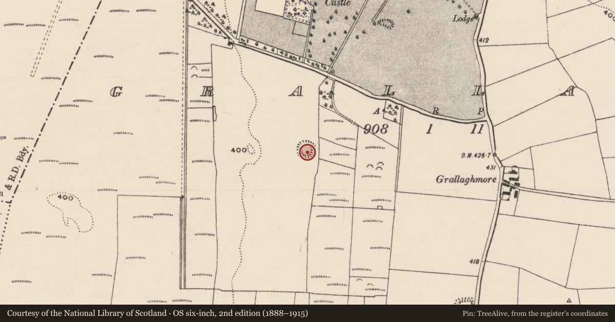 Ordnance Survey six-inch map, 2nd edition (1888–1915) covering the location of Ringfort - rath, Grallagh (Graystown Par.), County Tipperary South, with a pin at the register's coordinates