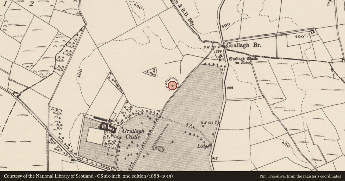 Ordnance Survey six-inch map, 2nd edition (1888–1915) covering the location of Ringfort - rath, Grallagh (Graystown Par.), County Tipperary South, with a pin at the register's coordinates