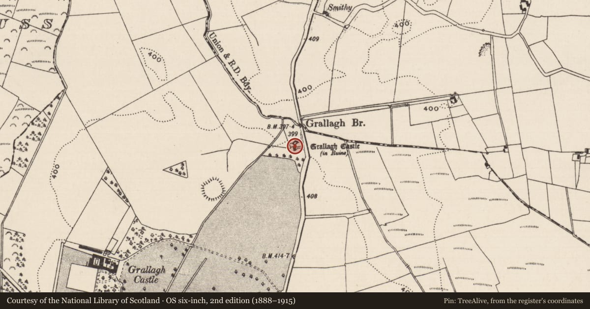 Ordnance Survey six-inch map, 2nd edition (1888–1915) covering the location of Castle - tower house, Grallagh (Graystown Par.), County Tipperary South, with a pin at the register's coordinates