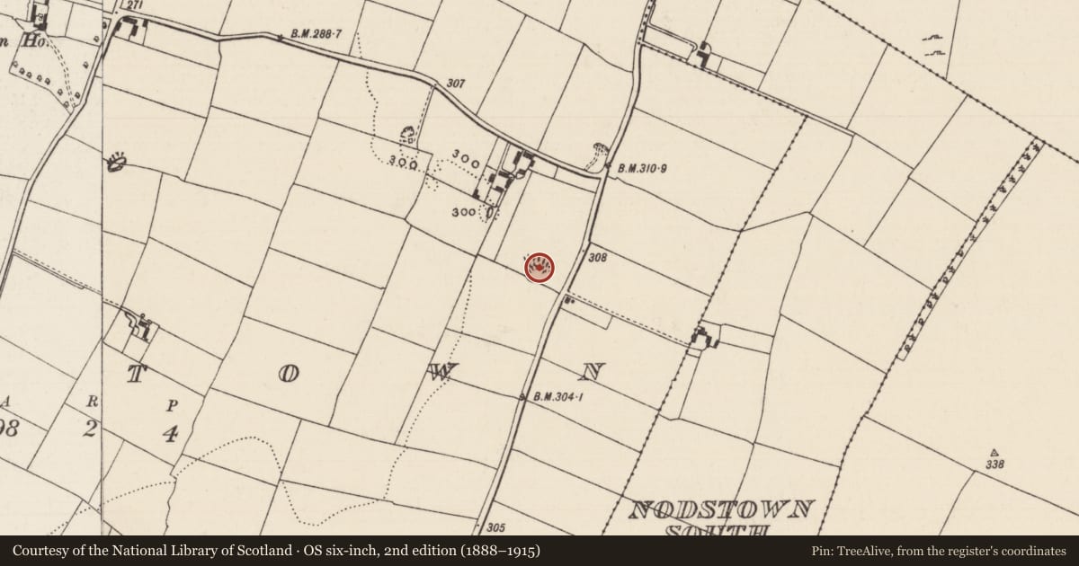 Ordnance Survey six-inch map, 2nd edition (1888–1915) covering the location of Enclosure, Nodstown, County Tipperary South, with a pin at the register's coordinates