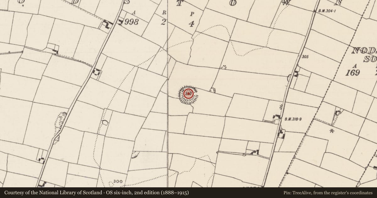 Ordnance Survey six-inch map, 2nd edition (1888–1915) covering the location of Ringfort - rath, Nodstown, County Tipperary South, with a pin at the register's coordinates