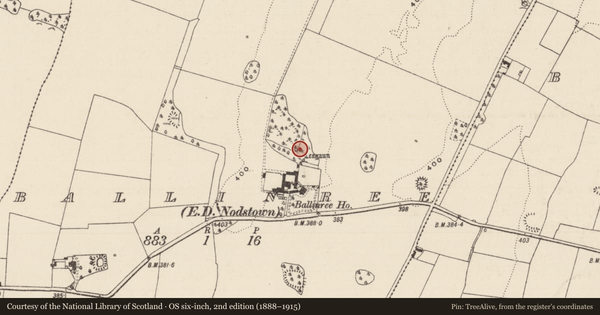 Ordnance Survey six-inch map, 2nd edition (1888–1915) covering the location of Barrow - bowl-barrow, Ballinree (Ballysheehan Par.), County Tipperary South, with a pin at the register's coordinates