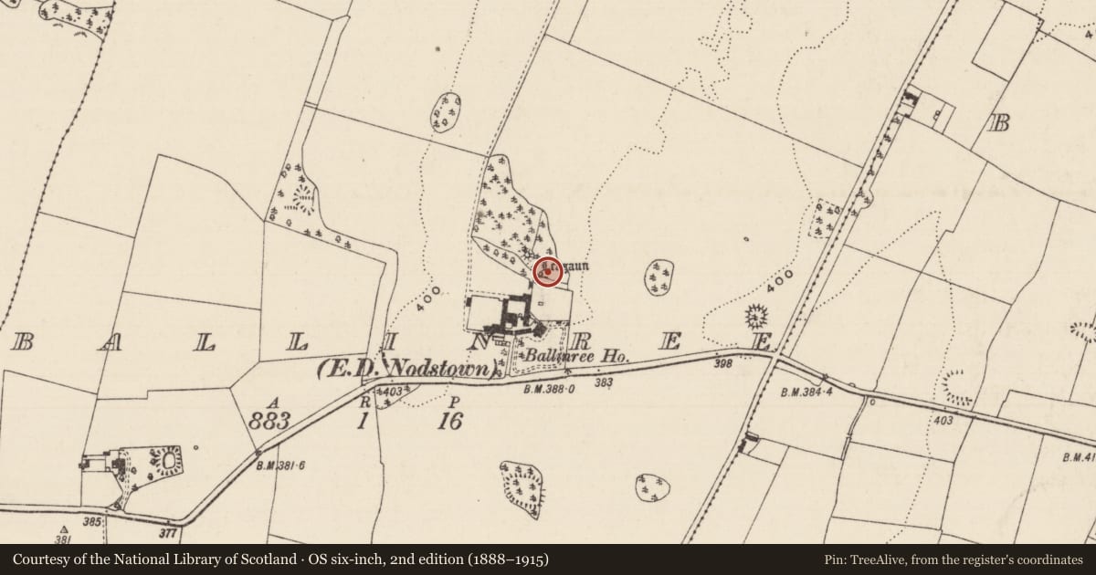 Ordnance Survey six-inch map, 2nd edition (1888–1915) covering the location of Standing stone, Ballinree (Ballysheehan Par.), County Tipperary South, with a pin at the register's coordinates