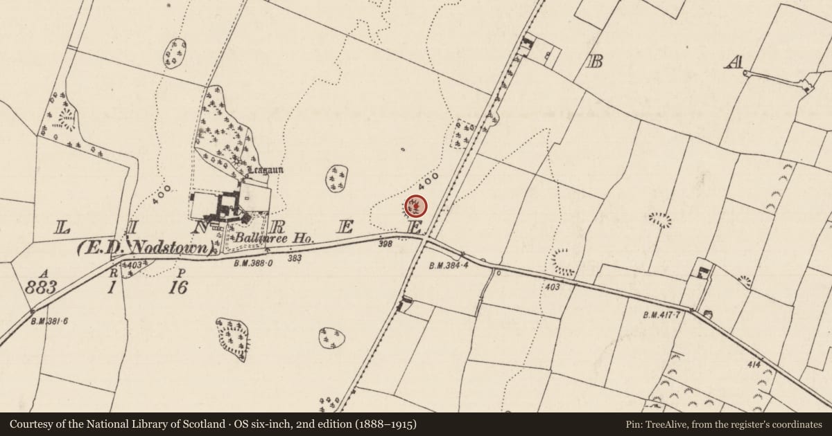 Ordnance Survey six-inch map, 2nd edition (1888–1915) covering the location of Enclosure, Ballinree (Ballysheehan Par.), County Tipperary South, with a pin at the register's coordinates