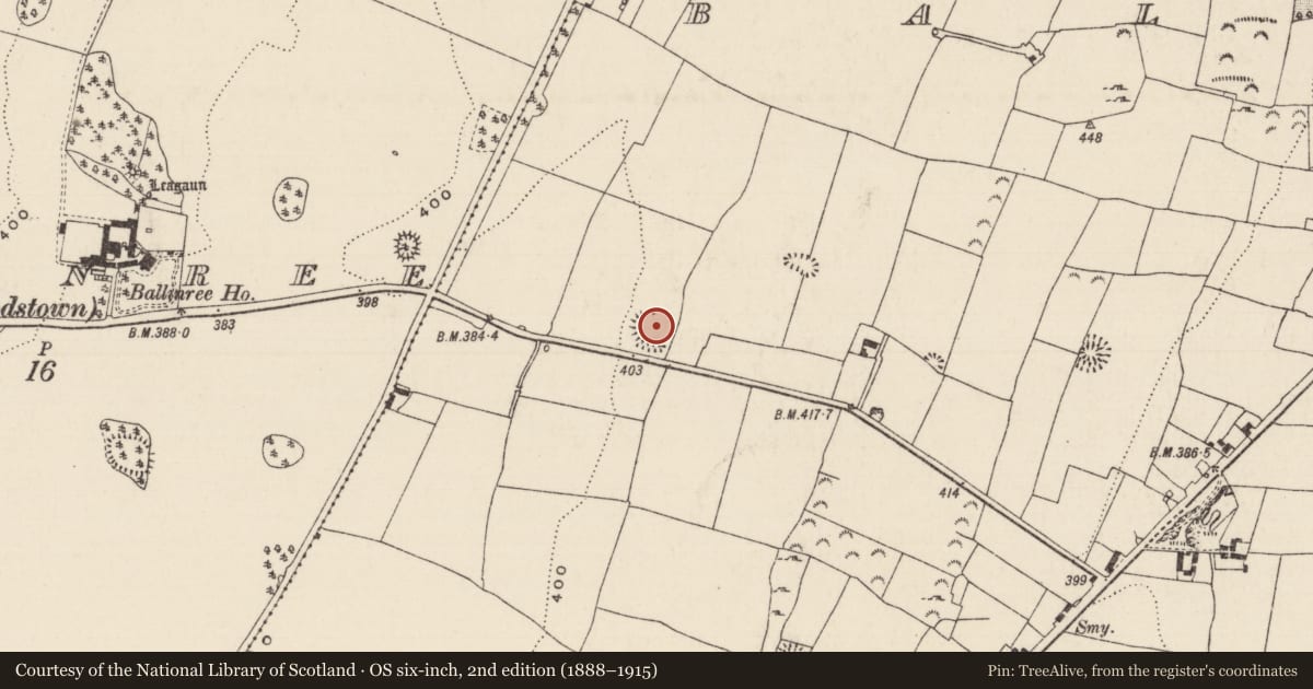 Ordnance Survey six-inch map, 2nd edition (1888–1915) covering the location of Enclosure, Ballytarsna (Hackett), County Tipperary South, with a pin at the register's coordinates