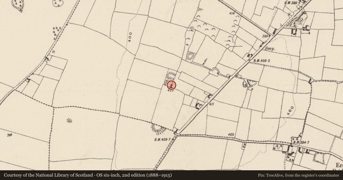 Ordnance Survey six-inch map, 2nd edition (1888–1915) covering the location of Ringfort - rath, Ballytarsna (Hackett), County Tipperary South, with a pin at the register's coordinates