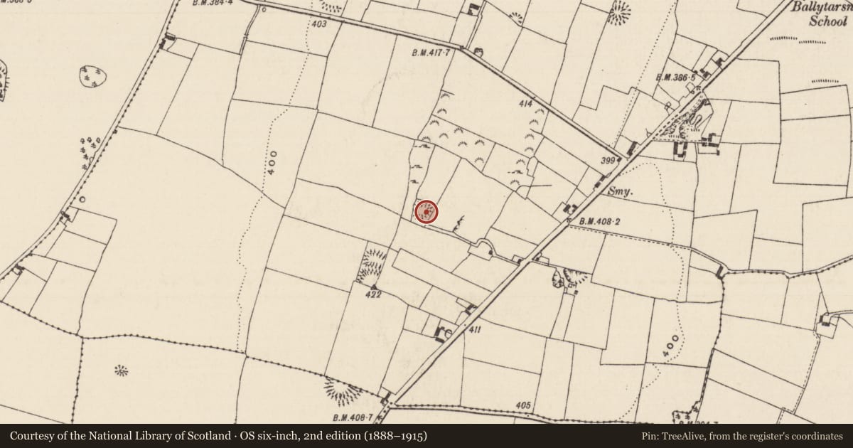 Ordnance Survey six-inch map, 2nd edition (1888–1915) covering the location of Ringfort - rath, Ballytarsna (Hackett), County Tipperary South, with a pin at the register's coordinates