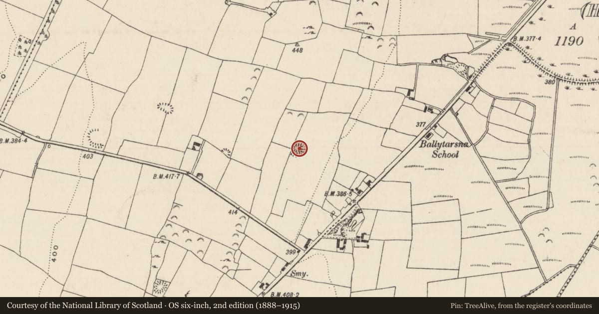 Ordnance Survey six-inch map, 2nd edition (1888–1915) covering the location of Ringfort - rath, Ballytarsna (Hackett), County Tipperary South, with a pin at the register's coordinates