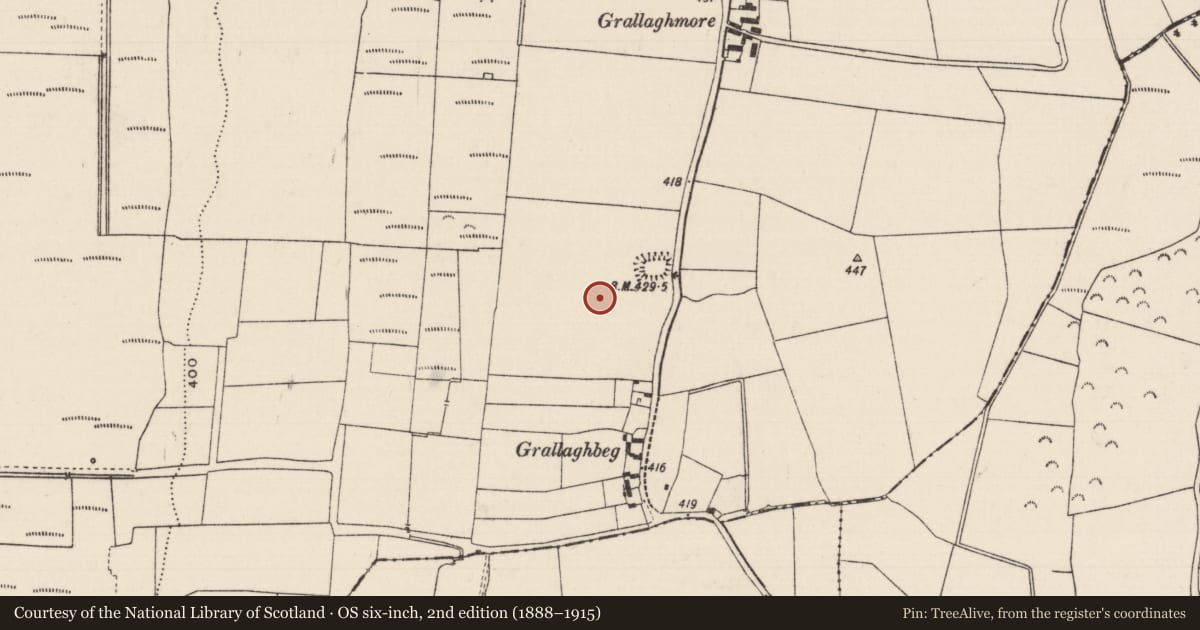 Ordnance Survey six-inch map, 2nd edition (1888–1915) covering the location of Enclosure, Grallagh (Graystown Par.), County Tipperary South, with a pin at the register's coordinates