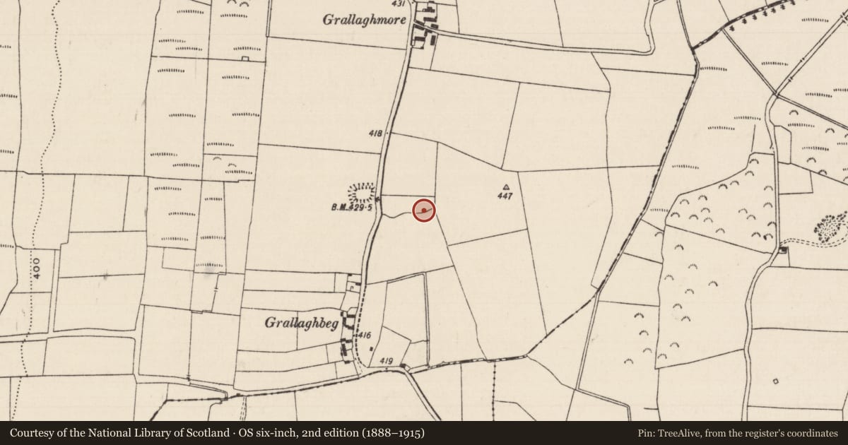 Ordnance Survey six-inch map, 2nd edition (1888–1915) covering the location of Well, Grallagh (Graystown Par.), County Tipperary South, with a pin at the register's coordinates