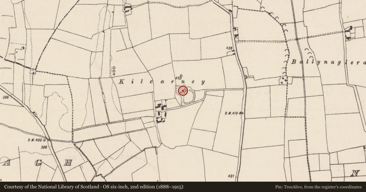 Ordnance Survey six-inch map, 2nd edition (1888–1915) covering the location of Ringfort - rath, Ballinure, County Tipperary South, with a pin at the register's coordinates