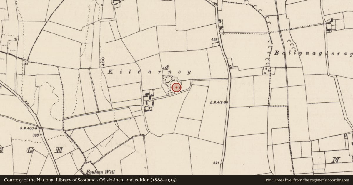 Ordnance Survey six-inch map, 2nd edition (1888–1915) covering the location of Ringfort - rath, Ballinure, County Tipperary South, with a pin at the register's coordinates