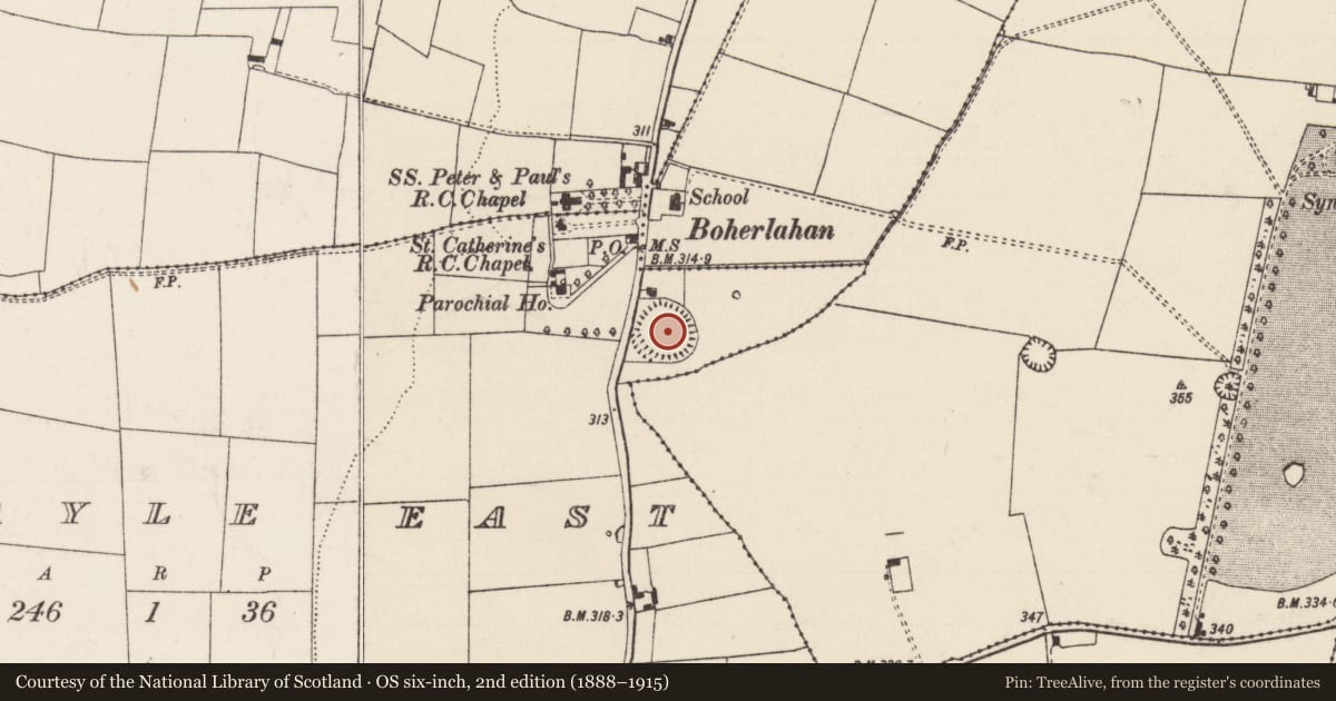 Ordnance Survey six-inch map, 2nd edition (1888–1915) covering the location of Ringfort - rath, Ardmayle East, County Tipperary South, with a pin at the register's coordinates