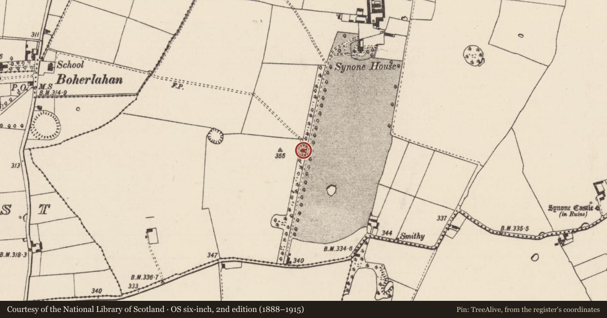 Ordnance Survey six-inch map, 2nd edition (1888–1915) covering the location of Enclosure, Synone, County Tipperary South, with a pin at the register's coordinates