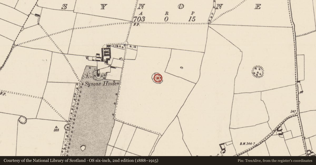 Ordnance Survey six-inch map, 2nd edition (1888–1915) covering the location of Designed landscape - tree-ring, Synone, County Tipperary South, with a pin at the register's coordinates