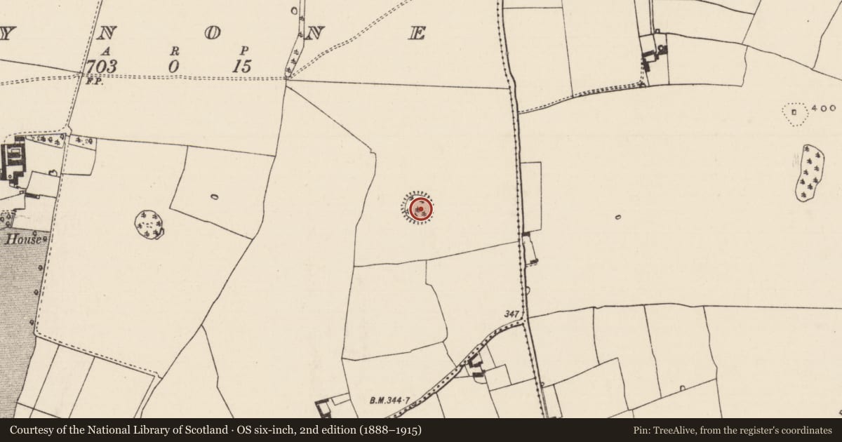 Ordnance Survey six-inch map, 2nd edition (1888–1915) covering the location of Ringfort - rath, Synone, County Tipperary South, with a pin at the register's coordinates