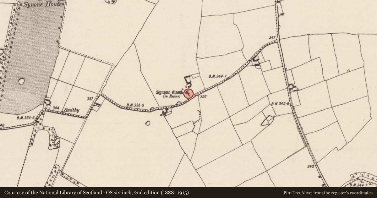 Ordnance Survey six-inch map, 2nd edition (1888–1915) covering the location of Castle - tower house, Synone, County Tipperary South, with a pin at the register's coordinates