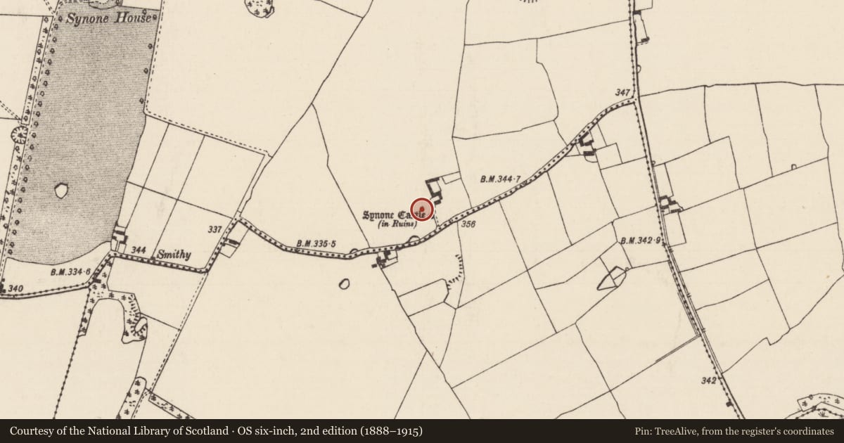 Ordnance Survey six-inch map, 2nd edition (1888–1915) covering the location of Bawn, Synone, County Tipperary South, with a pin at the register's coordinates
