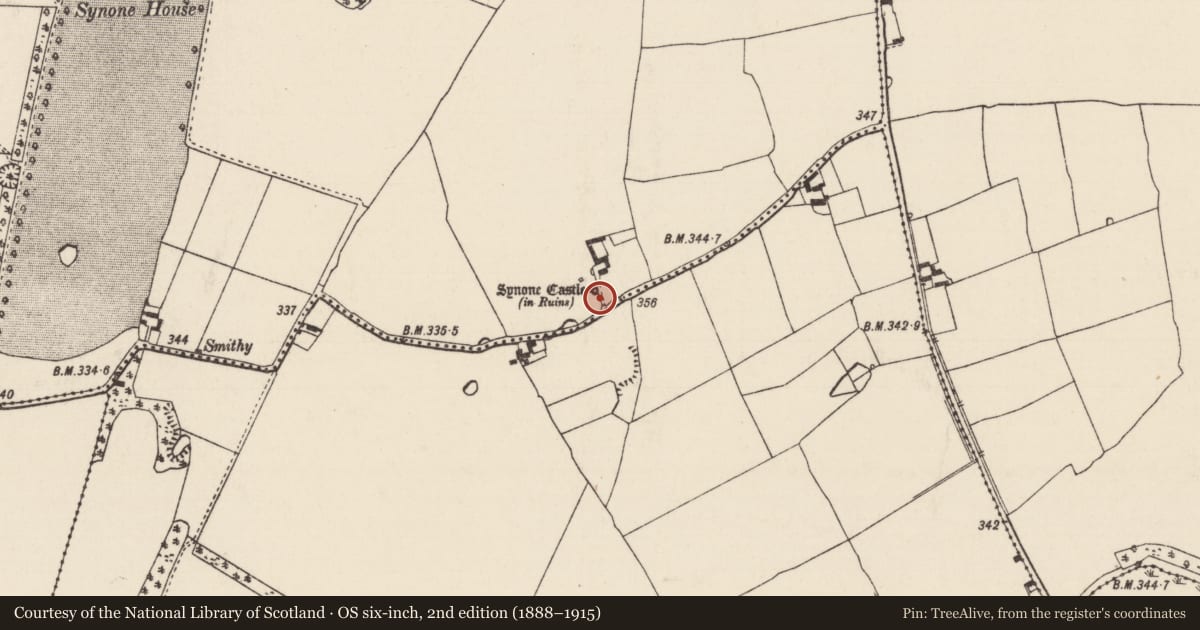 Ordnance Survey six-inch map, 2nd edition (1888–1915) covering the location of House - 17th century, Synone, County Tipperary South, with a pin at the register's coordinates
