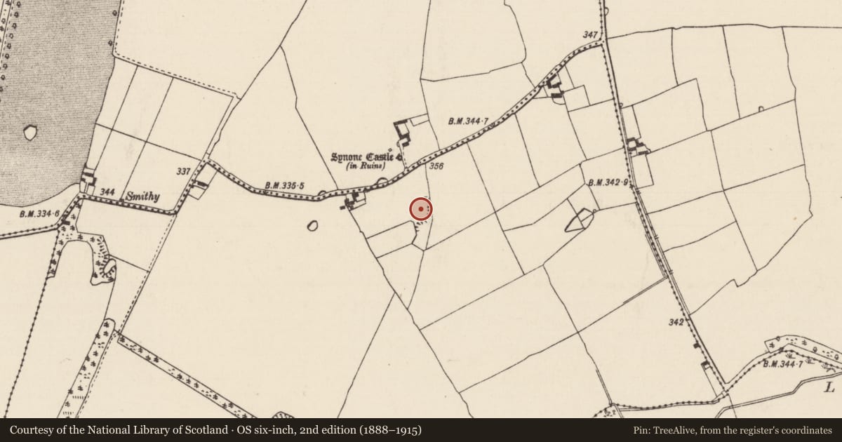Ordnance Survey six-inch map, 2nd edition (1888–1915) covering the location of Ringfort - rath, Farranavarra, County Tipperary South, with a pin at the register's coordinates