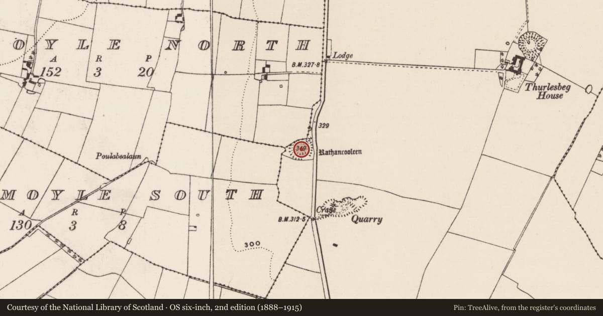 Ordnance Survey six-inch map, 2nd edition (1888–1915) covering the location of Castle - ringwork, Castlemoyle North, Thurlesbeg, County Tipperary South, with a pin at the register's coordinates