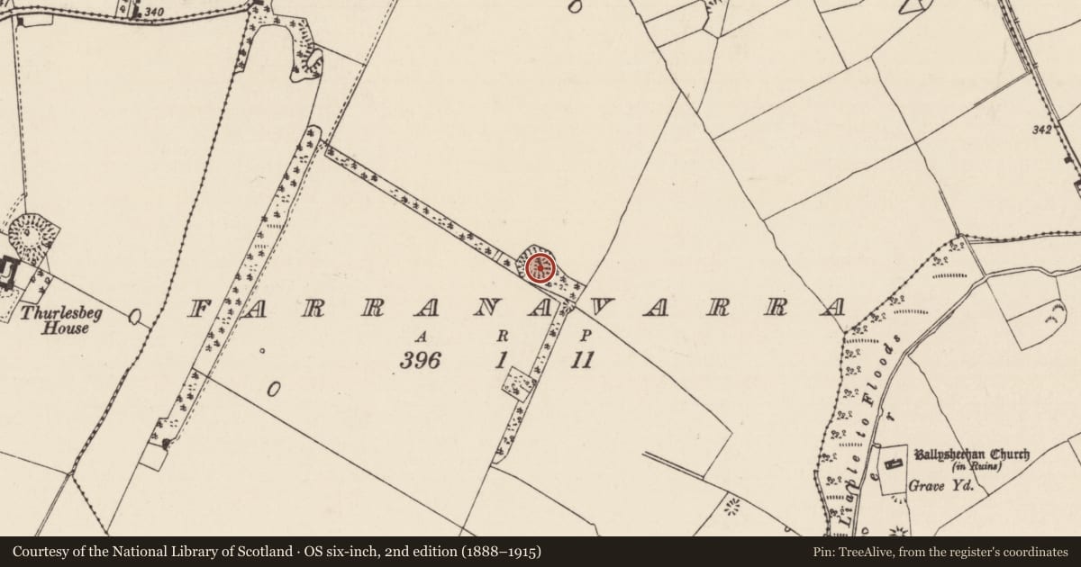 Ordnance Survey six-inch map, 2nd edition (1888–1915) covering the location of Ringfort - rath, Farranavarra, County Tipperary South, with a pin at the register's coordinates