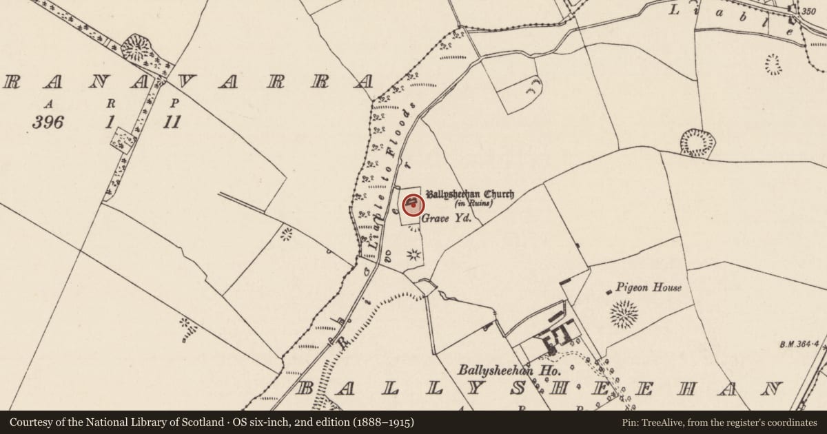 Ordnance Survey six-inch map, 2nd edition (1888–1915) covering the location of Church, Ballysheehan (Ballysheehan Par.), County Tipperary South, with a pin at the register's coordinates