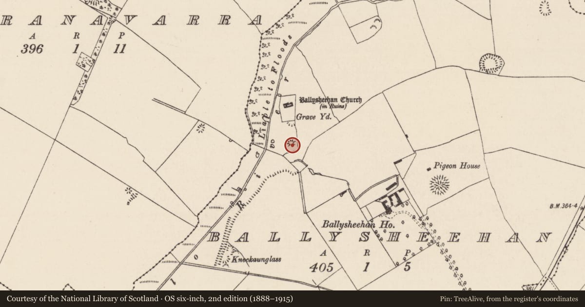 Ordnance Survey six-inch map, 2nd edition (1888–1915) covering the location of Castle - motte and bailey, Ballysheehan (Ballysheehan Par.), County Tipperary South, with a pin at the register's coordinates