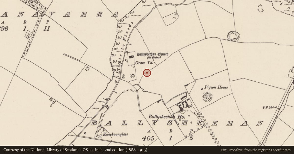 Ordnance Survey six-inch map, 2nd edition (1888–1915) covering the location of Enclosure, Ballysheehan (Ballysheehan Par.), County Tipperary South, with a pin at the register's coordinates