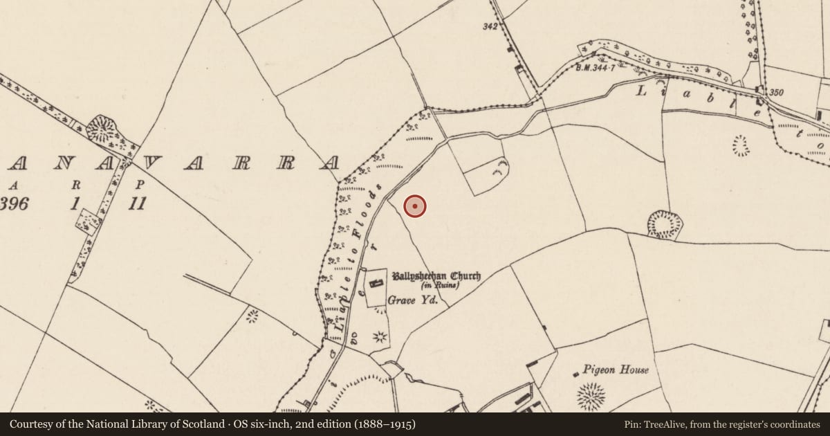 Ordnance Survey six-inch map, 2nd edition (1888–1915) covering the location of Barrow - ditch barrow, Ballysheehan (Ballysheehan Par.), County Tipperary South, with a pin at the register's coordinates