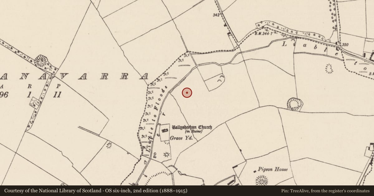 Ordnance Survey six-inch map, 2nd edition (1888–1915) covering the location of Barrow - ditch barrow, Ballysheehan (Ballysheehan Par.), County Tipperary South, with a pin at the register's coordinates