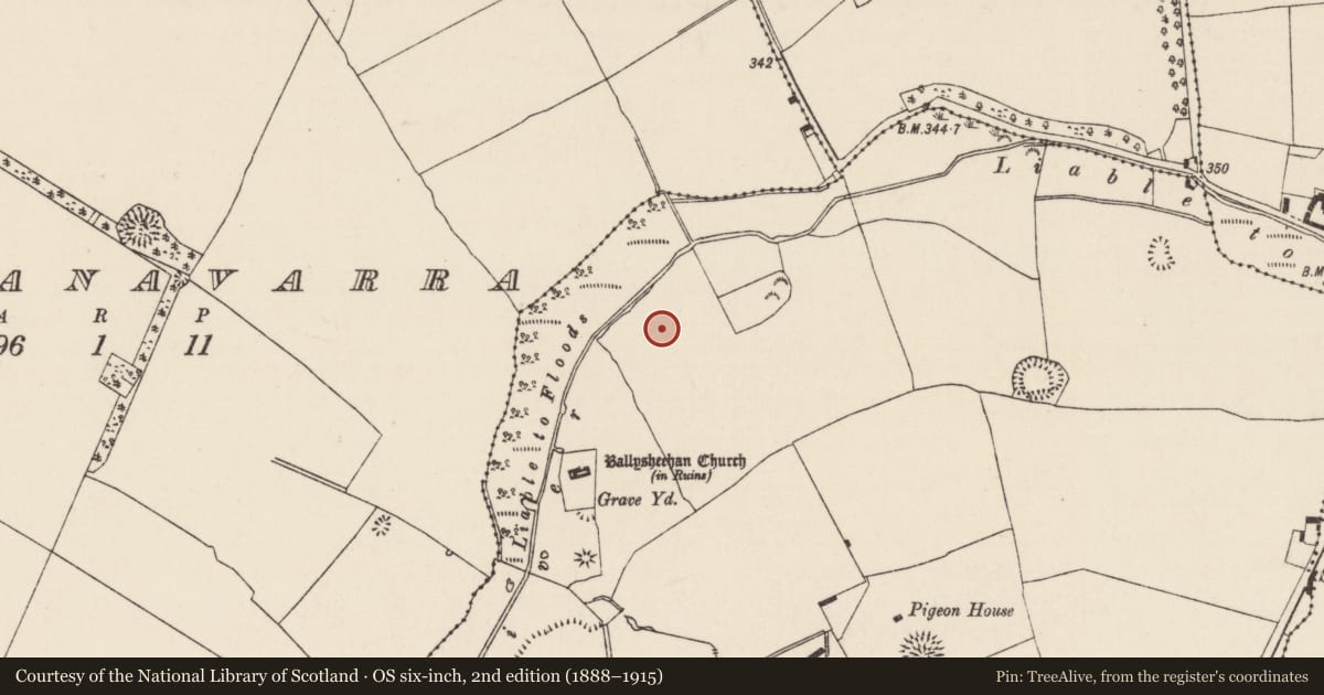 Ordnance Survey six-inch map, 2nd edition (1888–1915) covering the location of Barrow - ditch barrow, Ballysheehan (Ballysheehan Par.), County Tipperary South, with a pin at the register's coordinates
