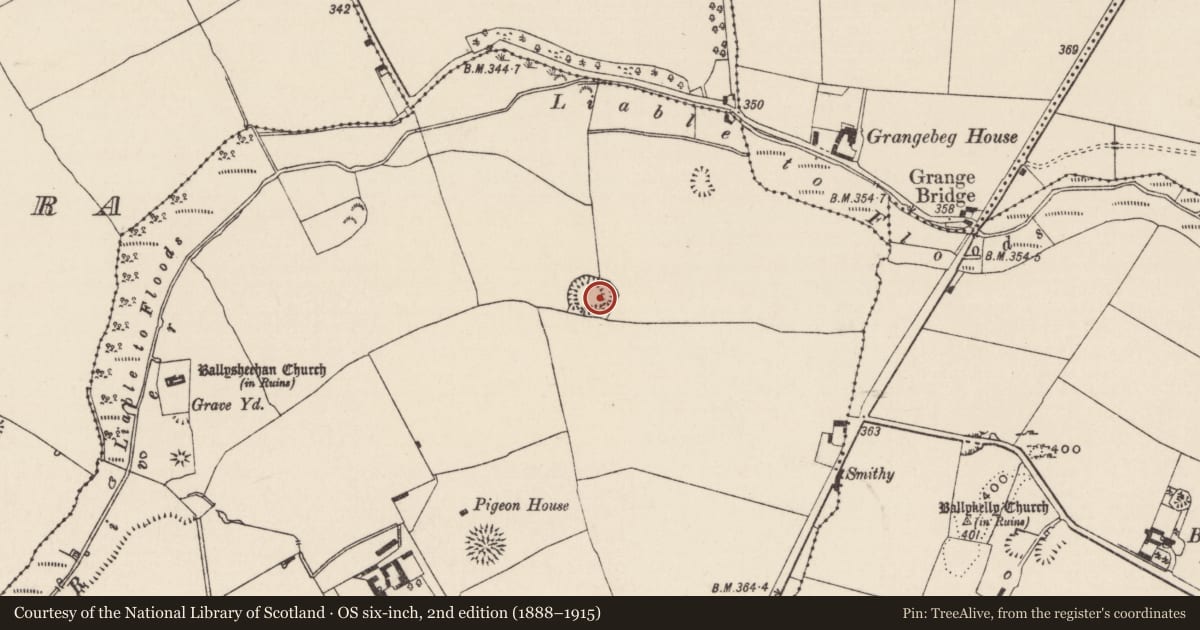 Ordnance Survey six-inch map, 2nd edition (1888–1915) covering the location of Ringfort - rath, Ballysheehan (Ballysheehan Par.), County Tipperary South, with a pin at the register's coordinates