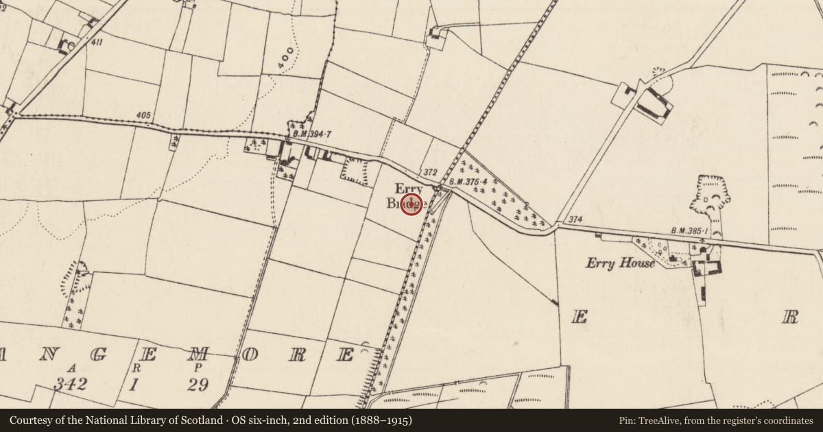 Ordnance Survey six-inch map, 2nd edition (1888–1915) covering the location of Enclosure, Grange More (Erry Par.), County Tipperary South, with a pin at the register's coordinates