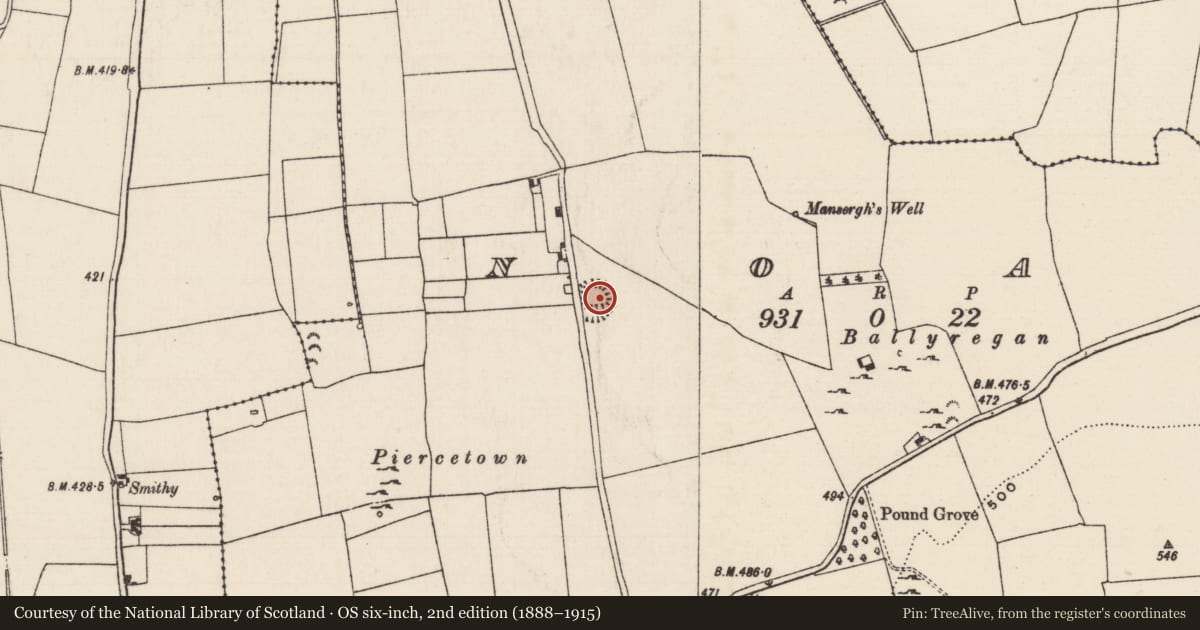 Ordnance Survey six-inch map, 2nd edition (1888–1915) covering the location of Ringfort - rath, Noan, County Tipperary South, with a pin at the register's coordinates