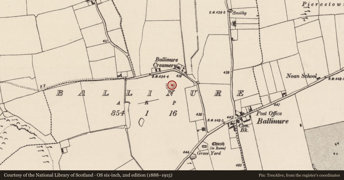 Ordnance Survey six-inch map, 2nd edition (1888–1915) covering the location of Moated site, Ballinure, County Tipperary South, with a pin at the register's coordinates