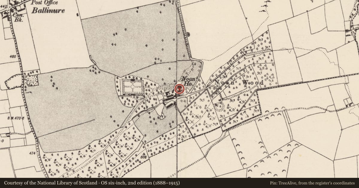 Ordnance Survey six-inch map, 2nd edition (1888–1915) covering the location of Castle - unclassified, Noan, County Tipperary South, with a pin at the register's coordinates