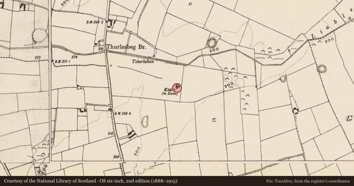 Ordnance Survey six-inch map, 2nd edition (1888–1915) covering the location of House - fortified house, Thurlesbeg, County Tipperary South, with a pin at the register's coordinates