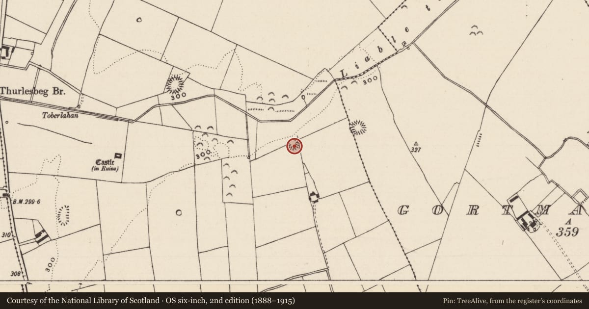 Ordnance Survey six-inch map, 2nd edition (1888–1915) covering the location of Ringfort - rath, Thurlesbeg, County Tipperary South, with a pin at the register's coordinates