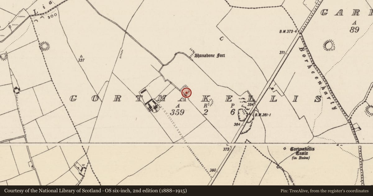 Ordnance Survey six-inch map, 2nd edition (1888–1915) covering the location of Moated site, Gortmakellis, County Tipperary South, with a pin at the register's coordinates