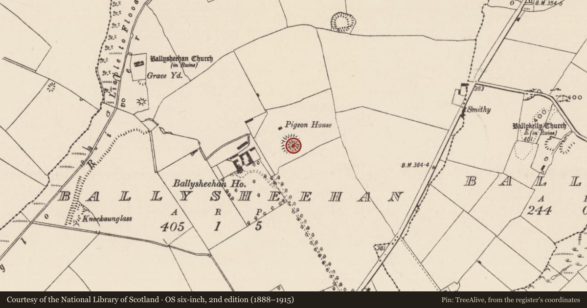 Ordnance Survey six-inch map, 2nd edition (1888–1915) covering the location of Ringfort - rath, Ballysheehan (Ballysheehan Par.), County Tipperary South, with a pin at the register's coordinates