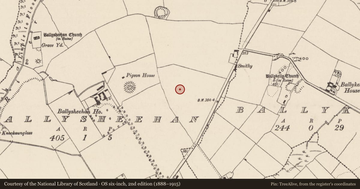 Ordnance Survey six-inch map, 2nd edition (1888–1915) covering the location of Enclosure, Ballysheehan (Ballysheehan Par.), County Tipperary South, with a pin at the register's coordinates