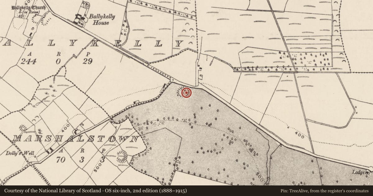 Ordnance Survey six-inch map, 2nd edition (1888–1915) covering the location of Enclosure, Newpark (Ballysheehan Par.), County Tipperary South, with a pin at the register's coordinates