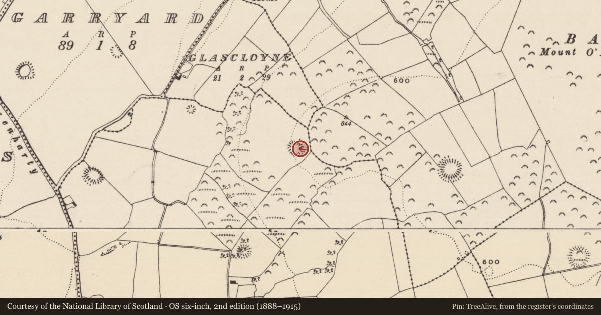 Ordnance Survey six-inch map, 2nd edition (1888–1915) covering the location of House - early medieval, Garranmore (St. Patricksrock Par.), County Tipperary South, with a pin at the register's coordinates