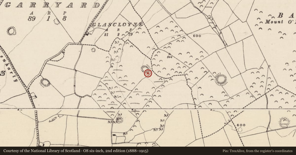 Ordnance Survey six-inch map, 2nd edition (1888–1915) covering the location of Souterrain, Garranmore (St. Patricksrock Par.), County Tipperary South, with a pin at the register's coordinates