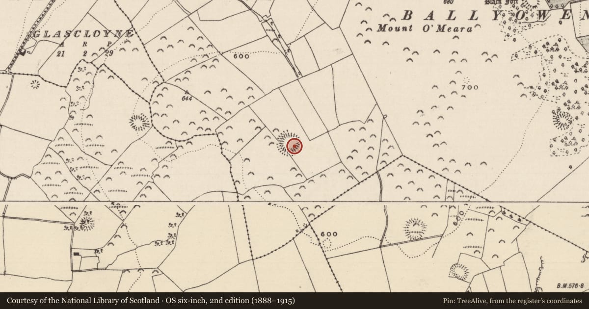 Ordnance Survey six-inch map, 2nd edition (1888–1915) covering the location of Enclosure, Newpark (Ballysheehan Par.), County Tipperary South, with a pin at the register's coordinates
