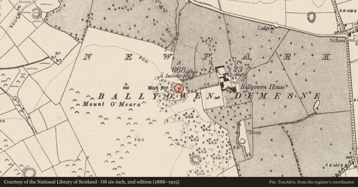 Ordnance Survey six-inch map, 2nd edition (1888–1915) covering the location of Ringfort - rath, Newpark (Ballysheehan Par.), County Tipperary South, with a pin at the register's coordinates