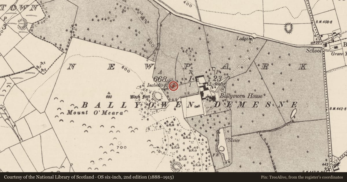 Ordnance Survey six-inch map, 2nd edition (1888–1915) covering the location of Ringfort - rath, Newpark (Ballysheehan Par.), County Tipperary South, with a pin at the register's coordinates
