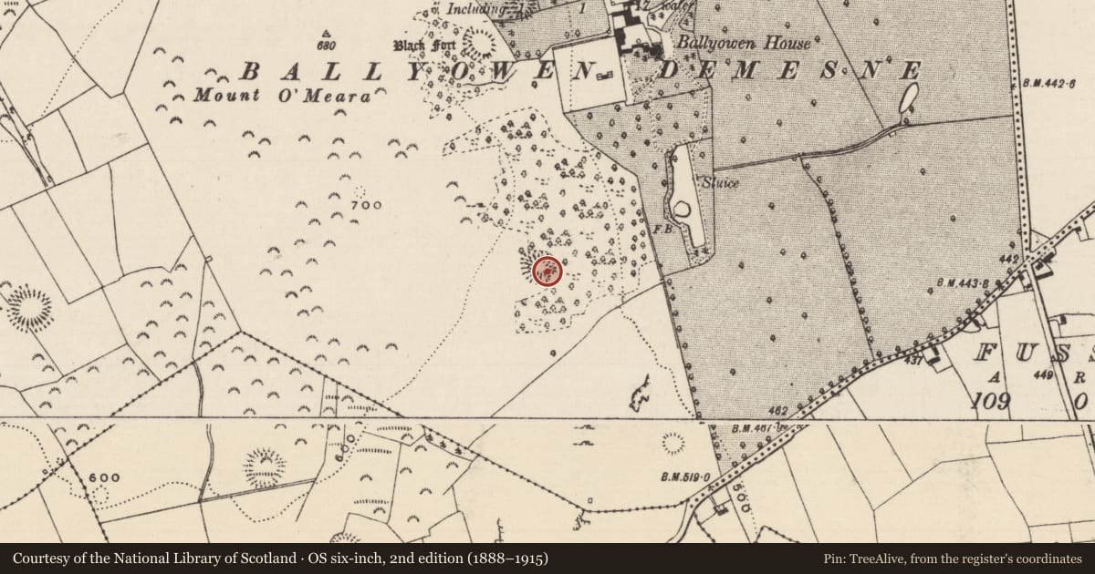 Ordnance Survey six-inch map, 2nd edition (1888–1915) covering the location of Ringfort - rath, Newpark (Ballysheehan Par.), County Tipperary South, with a pin at the register's coordinates