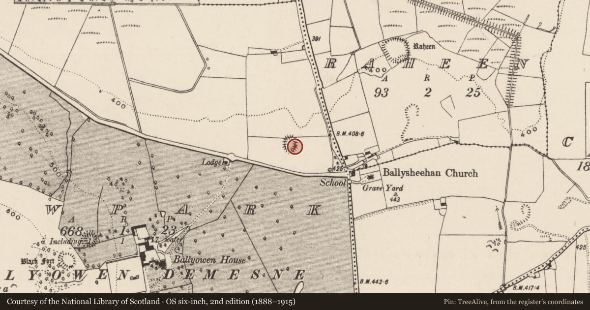 Ordnance Survey six-inch map, 2nd edition (1888–1915) covering the location of Ringfort - rath, Newpark (Ballysheehan Par.), County Tipperary South, with a pin at the register's coordinates